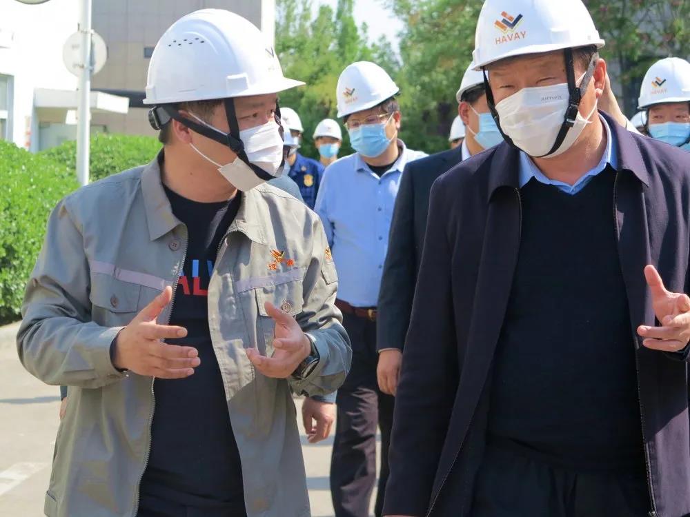 Song Hongyin, member of the Standing Committee and Deputy Mayor of Tai'an Municipal Committee, visited Havay Group for investigation